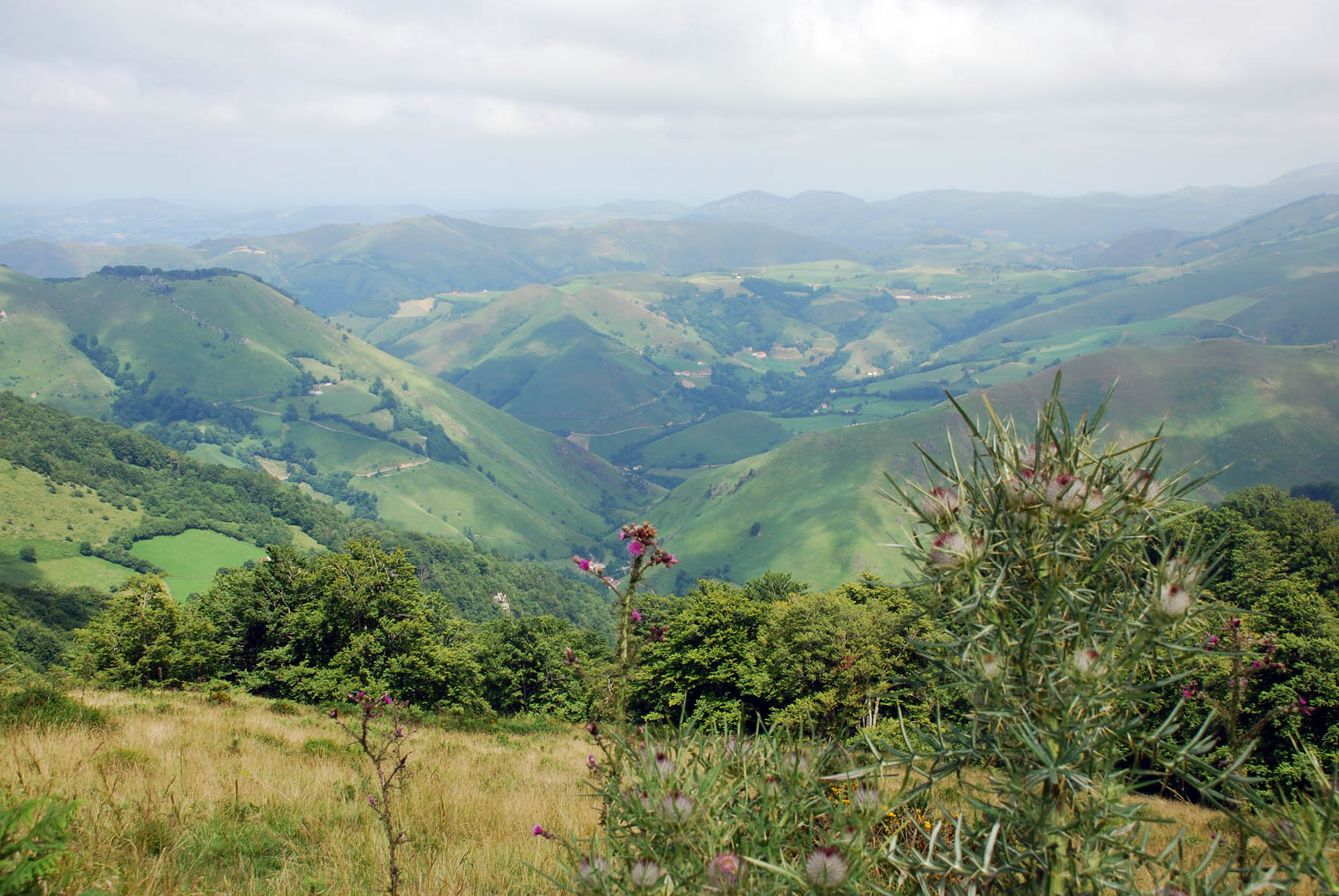 Col d'Orgambide